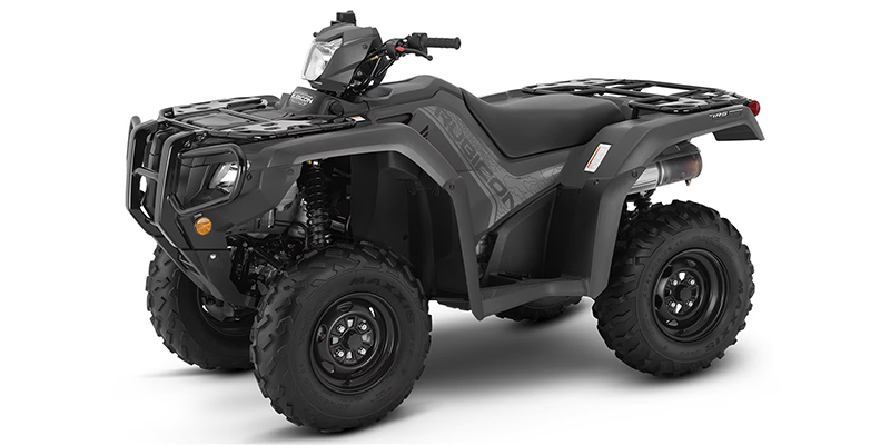 2025 Honda FourTrax Foreman® Rubicon 4x4 EPS at Martin Moto