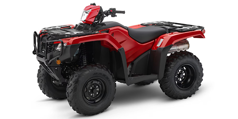 2025 Honda FourTrax Foreman® 4x4 EPS at Arkport Cycles