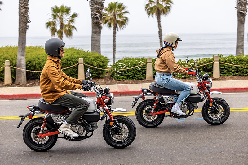 2025 Honda Monkey ABS at Martin Moto