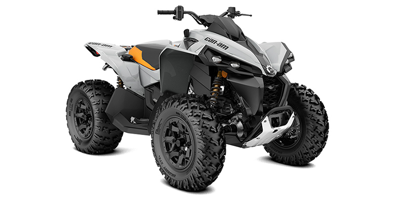 2025 Can-Am™ Renegade 650 at Jacksonville Powersports, Jacksonville, FL 32225