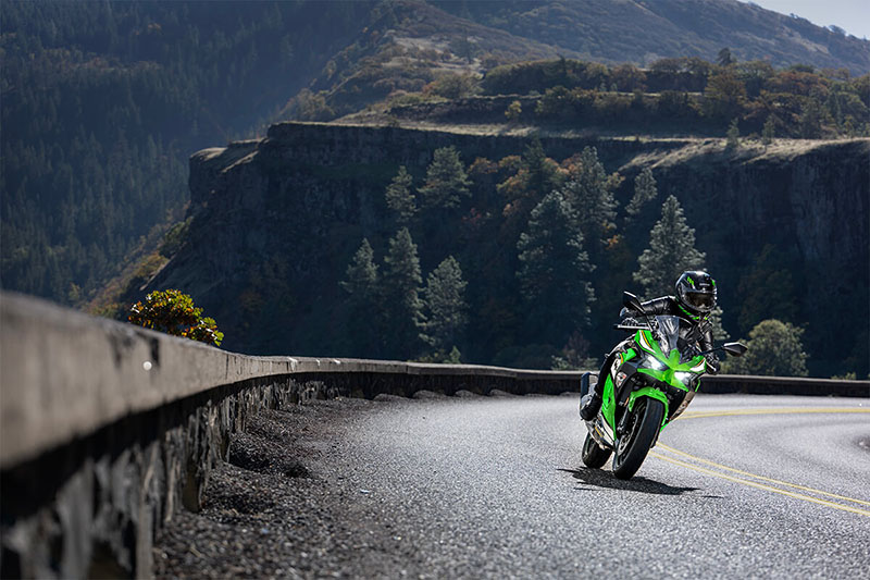 2025 Kawasaki Ninja® 500 KRT Edition at Interlakes Sport Center