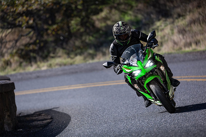 2025 Kawasaki Ninja® 500 KRT Edition at Interlakes Sport Center