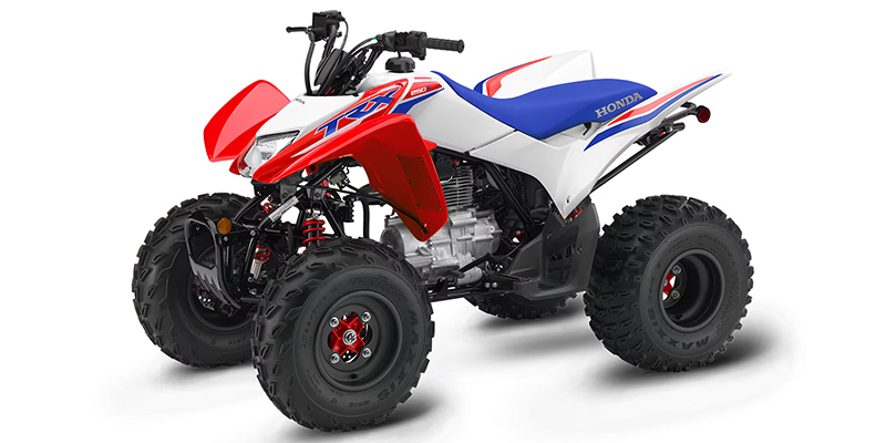 TRX250X at Friendly Powersports Slidell