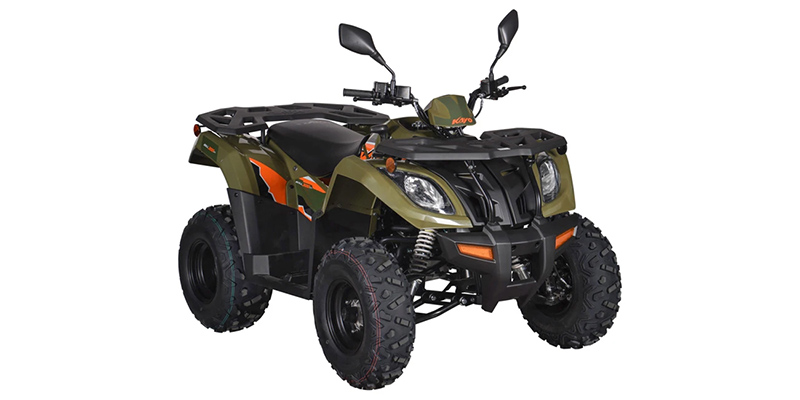 Bull 300 EFI at Jacksonville Powersports, Jacksonville, FL 32225