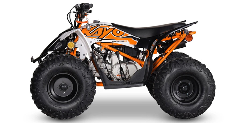 2025 Kayo Predator 110 at Paulson's Motorsports