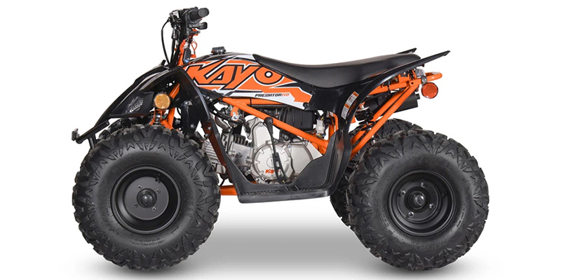 Predator 110 at Jacksonville Powersports, Jacksonville, FL 32225