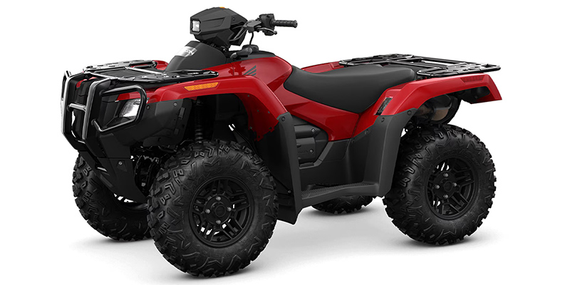 2024 Honda FourTrax Rubicon 4x4 Automatic at Powersports St. Augustine