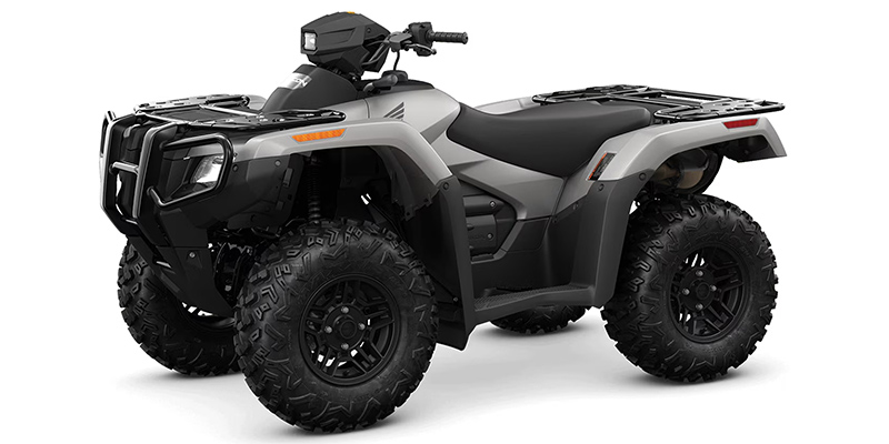 2024 Honda FourTrax Rubicon 4x4 Automatic at Powersports St. Augustine