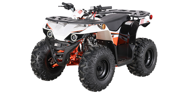 Bull 110 at Shift Digital - Website Access - Metric