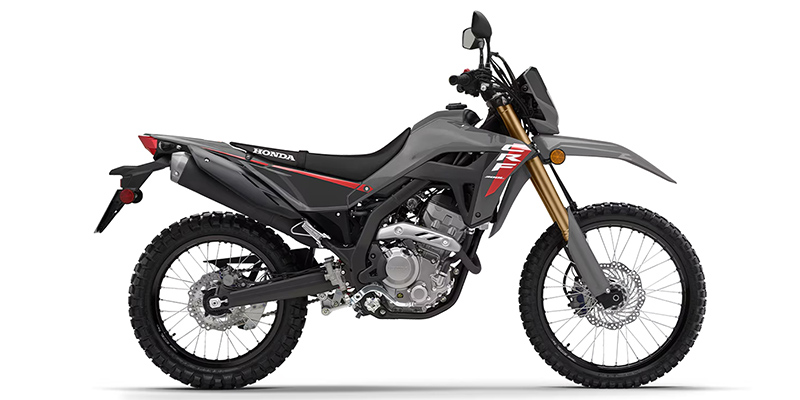 CRF300LS at Martin Moto