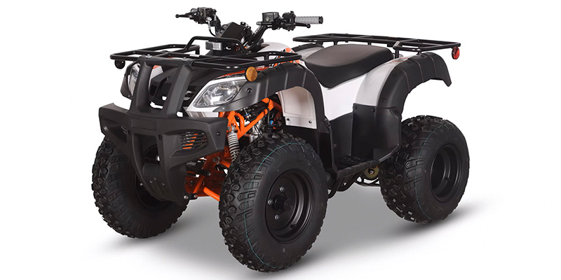 2025 Kayo Bull 150 EFI at Wise Honda
