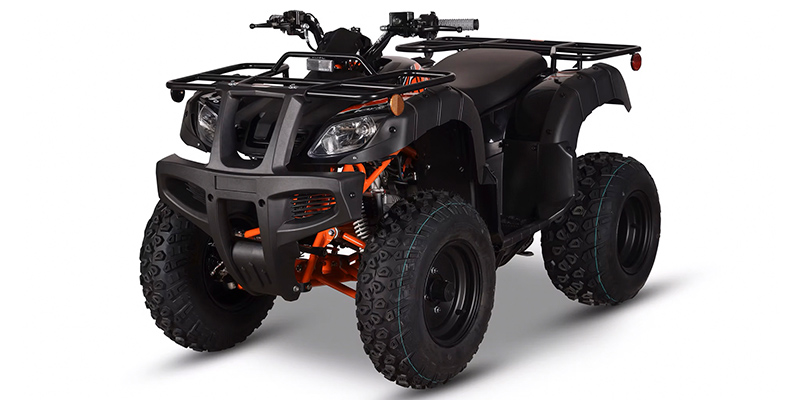 Bull 150 EFI at Wise Honda