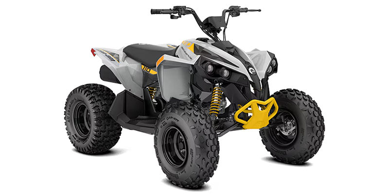 2026 Can-Am™ Renegade 110 EFI at Shift Digital - Website Access - Metric