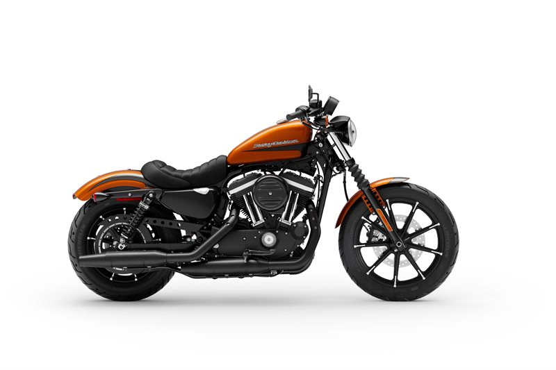 2020 Harley-Davidson Sportster Iron 883 at Lumberjack Harley-Davidson