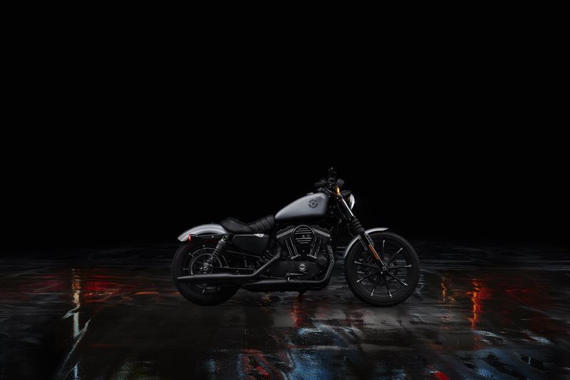 2020 Harley-Davidson Sportster Iron 883 at South East Harley-Davidson