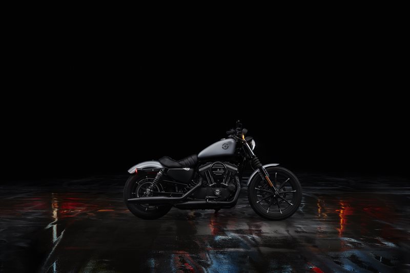 2020 Harley-Davidson Sportster Iron 883 at Hoosier Harley-Davidson