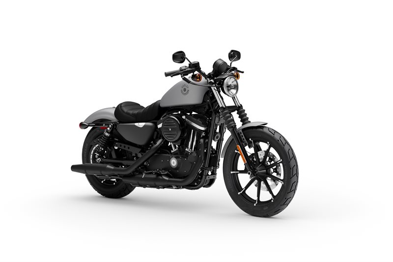 2020 Harley-Davidson Sportster Iron 883 at South East Harley-Davidson