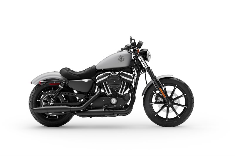 Iron 883 at Deluxe Harley Davidson