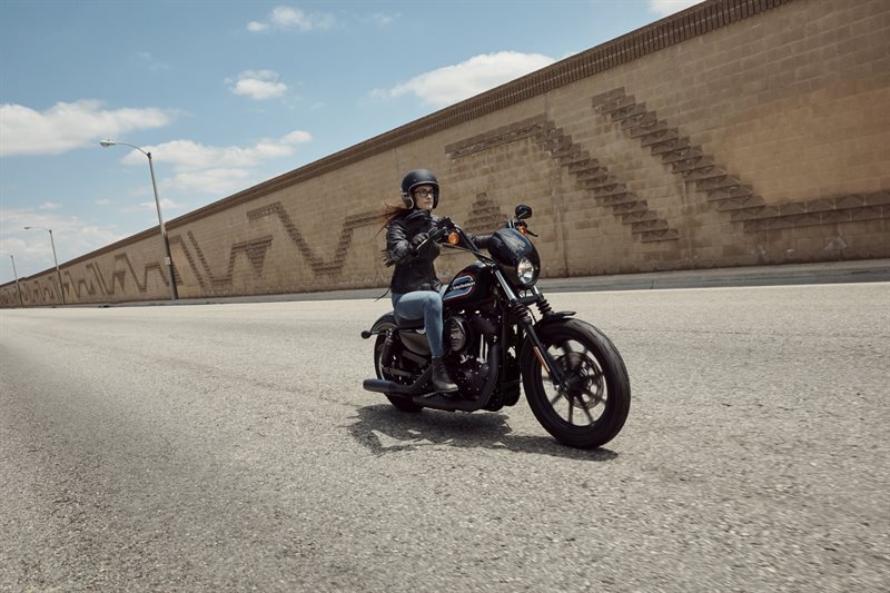 2020 Harley-Davidson Sportster Iron 1200 at South East Harley-Davidson