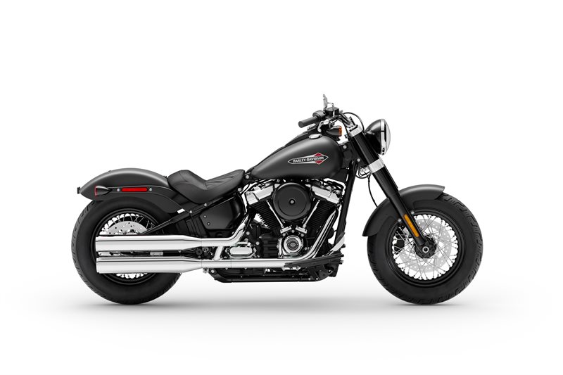 2020 Harley-Davidson Softail Softail Slim at South East Harley-Davidson