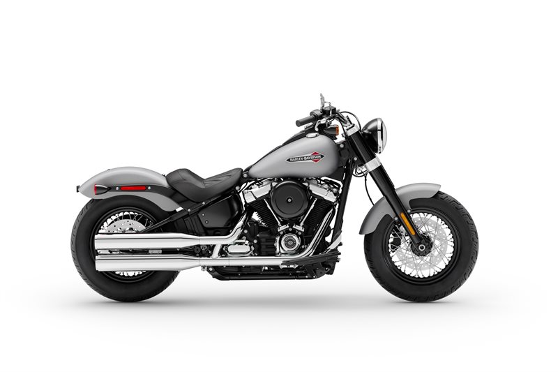 2020 Harley-Davidson Softail Softail Slim at Cox's Double Eagle Harley-Davidson