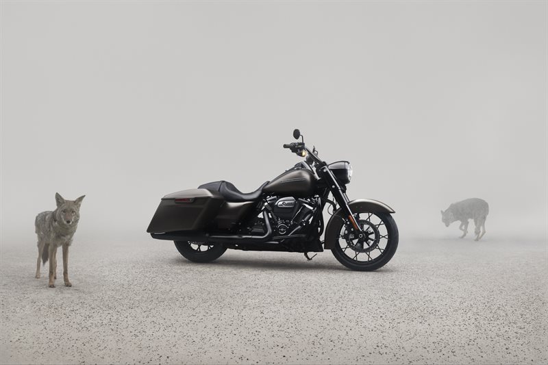 2020 Harley-Davidson Touring Road King Special at Fresno Harley-Davidson