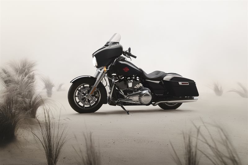 2020 Harley-Davidson Touring Electra Glide Standard at Buddy Stubbs Arizona Harley-Davidson