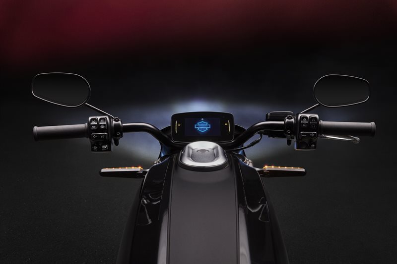 2020 Harley-Davidson Electric LiveWire at Great River Harley-Davidson