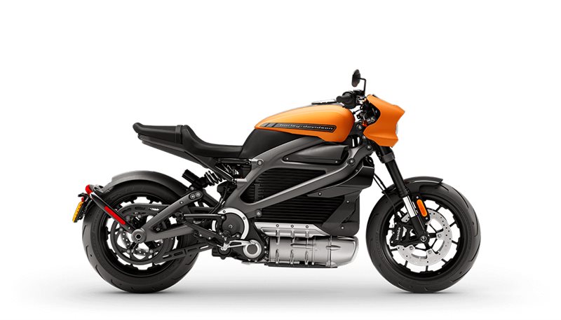 2020 Harley-Davidson Electric LiveWire at Texoma Harley-Davidson