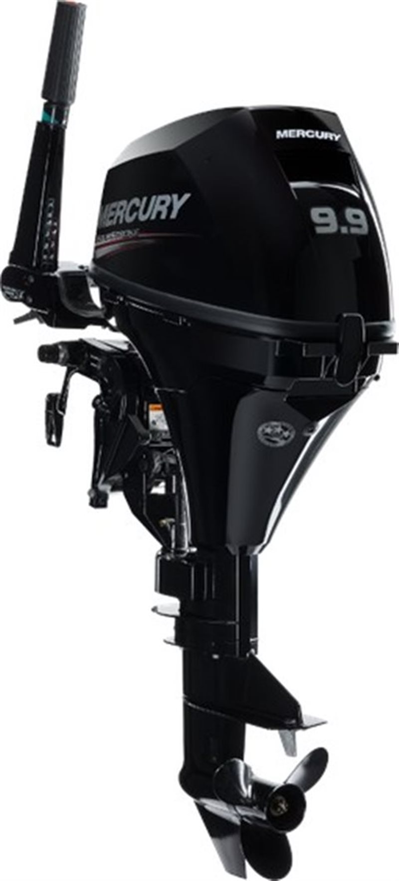 2020 Mercury Outboard FourStroke 8-9.9 hp 99 hp at Fort Fremont Marine