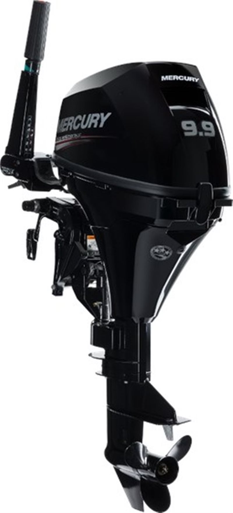 2020 Mercury Outboard FourStroke 8-9.9 hp 99 hp at Pharo Marine, Waunakee, WI 53597