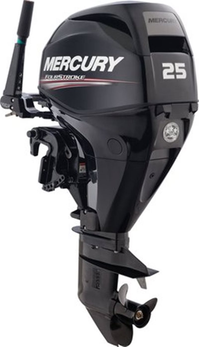 2020 Mercury Outboard FourStroke 25-30 hp 25 hp EFI at Fort Fremont Marine