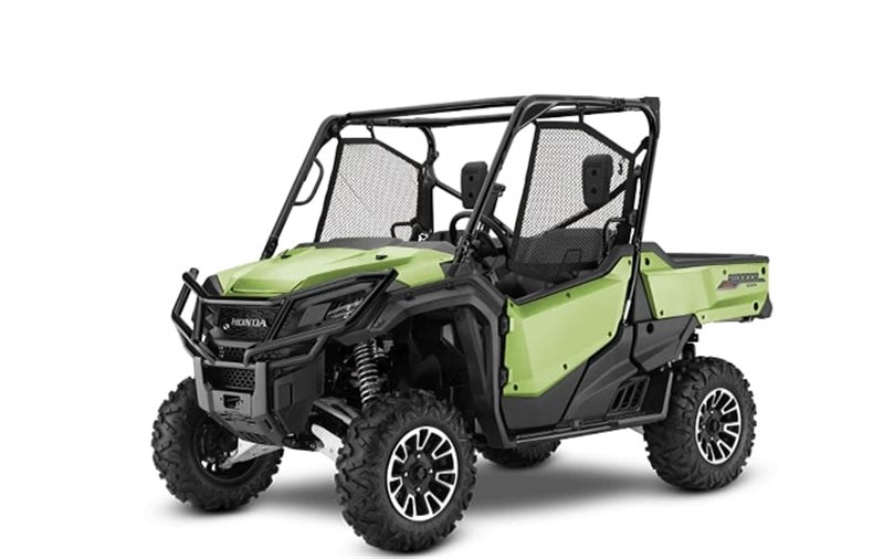 Pioneer 1000 Limited Edition at Iron Hill Powersports