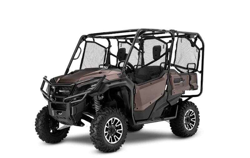 Pioneer 1000-5 Limited Edition at Iron Hill Powersports