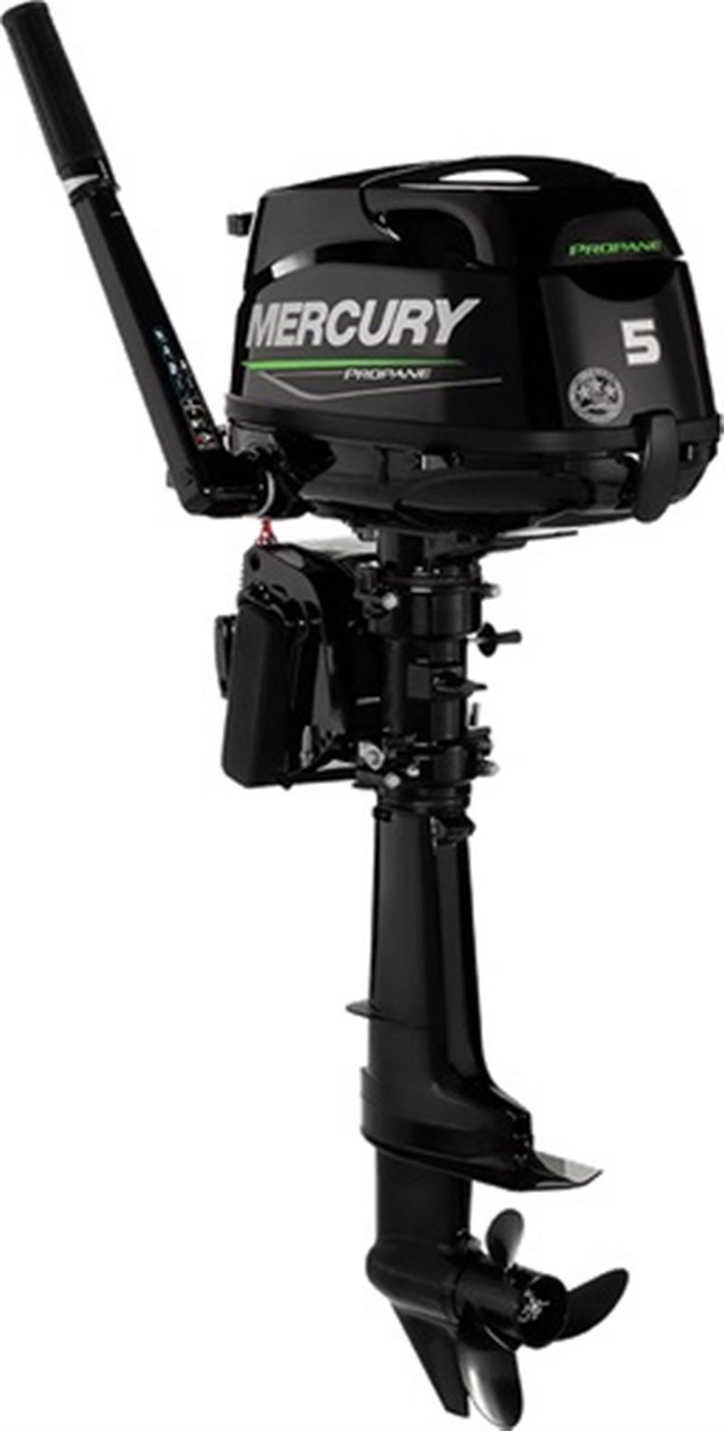 2021 Mercury Outboard FourStroke 4-6 hp 5 Propane at DT Powersports & Marine