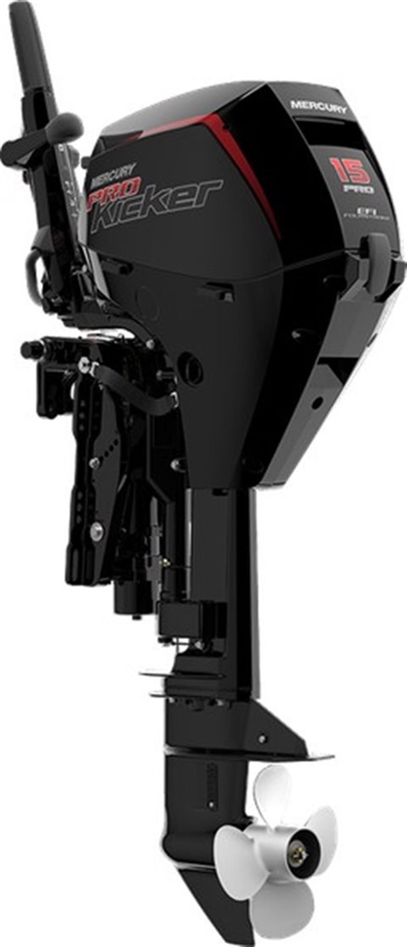 2021 Mercury Outboard FourStroke 15-20 hp 15 EFI at Pharo Marine, Waunakee, WI 53597