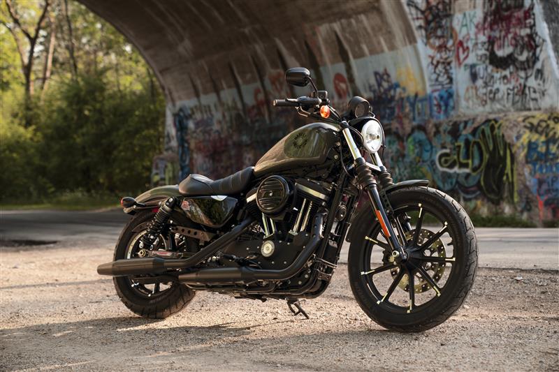 2021 Harley-Davidson Cruiser XL 883N Iron 883 at 3 State Harley-Davidson