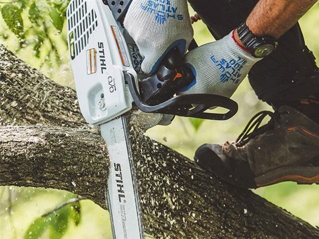 2021 STIHL In-Tree Saws MS 194 T at Patriot Golf Carts & Powersports