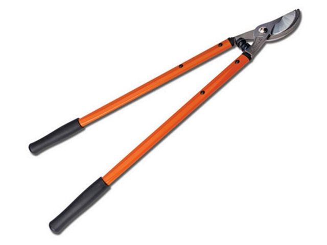 2021 STIHL Loppers PL 5 at Patriot Golf Carts & Powersports