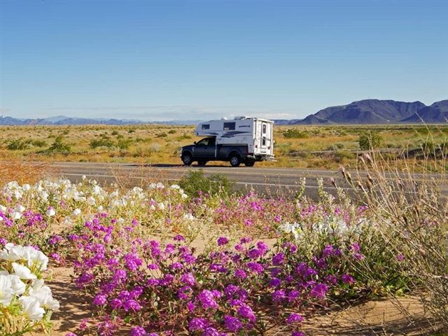 2020 Northern Lite Sportsman Edition 9-6SPWB Face-To-Face Dinette at Prosser's Premium RV Outlet