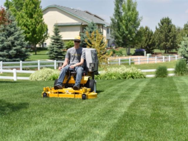 2020 Walker Mowers Model C 19 at Wise Honda