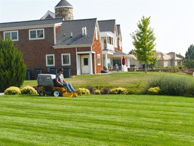 2020 Walker Mowers Model C 19 at Wise Honda