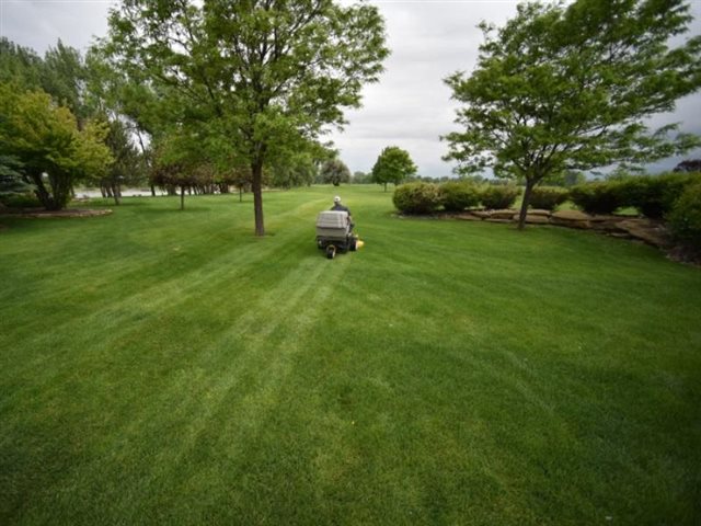 2020 Walker Mowers Model C 19i at Wise Honda