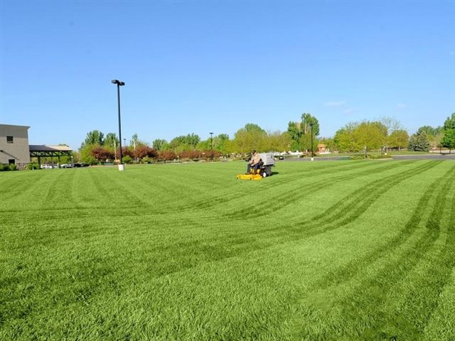 2020 Walker Mowers Model D 21d at Wise Honda