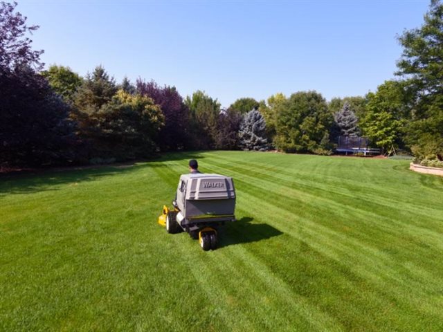 2020 Walker Mowers Model T 23 at Wise Honda