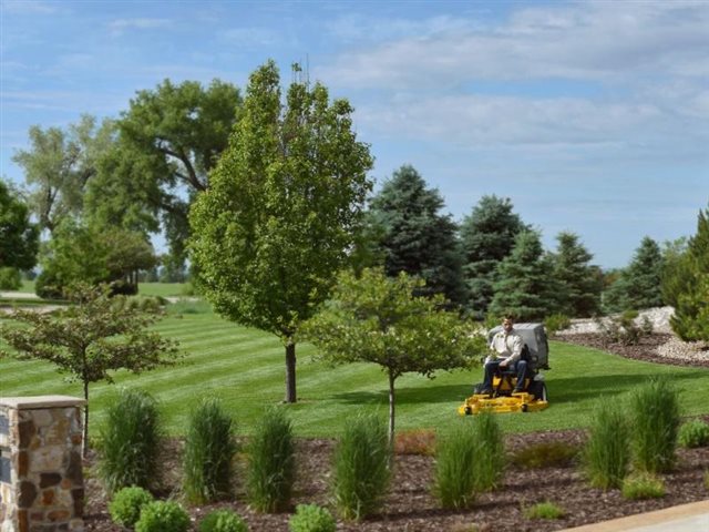 2020 Walker Mowers Model T 27i at Wise Honda