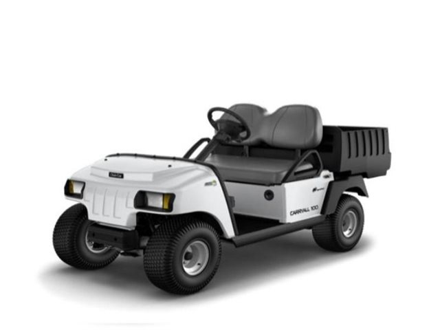 2021 Club Car Carryall 100 Carryall 100 Electric at Bulldog Golf Cars