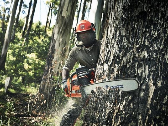 2021 Husqvarna Power Professional Chainsaws 390 XP® 32 in at R/T Powersports