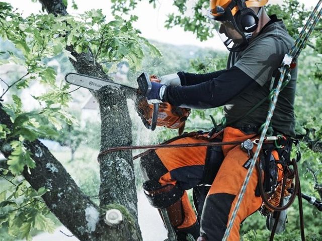 2021 Husqvarna Power Top Handle Chainsaws T540 XP® II at R/T Powersports