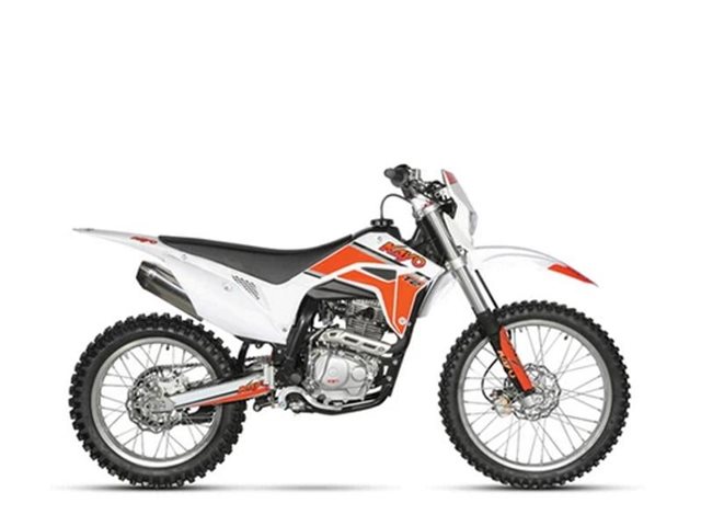 2022 Kayo T2 at Sloans Motorcycle ATV, Murfreesboro, TN, 37129